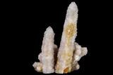 Cactus Quartz (Amethyst) Cluster - South Africa #115124-2